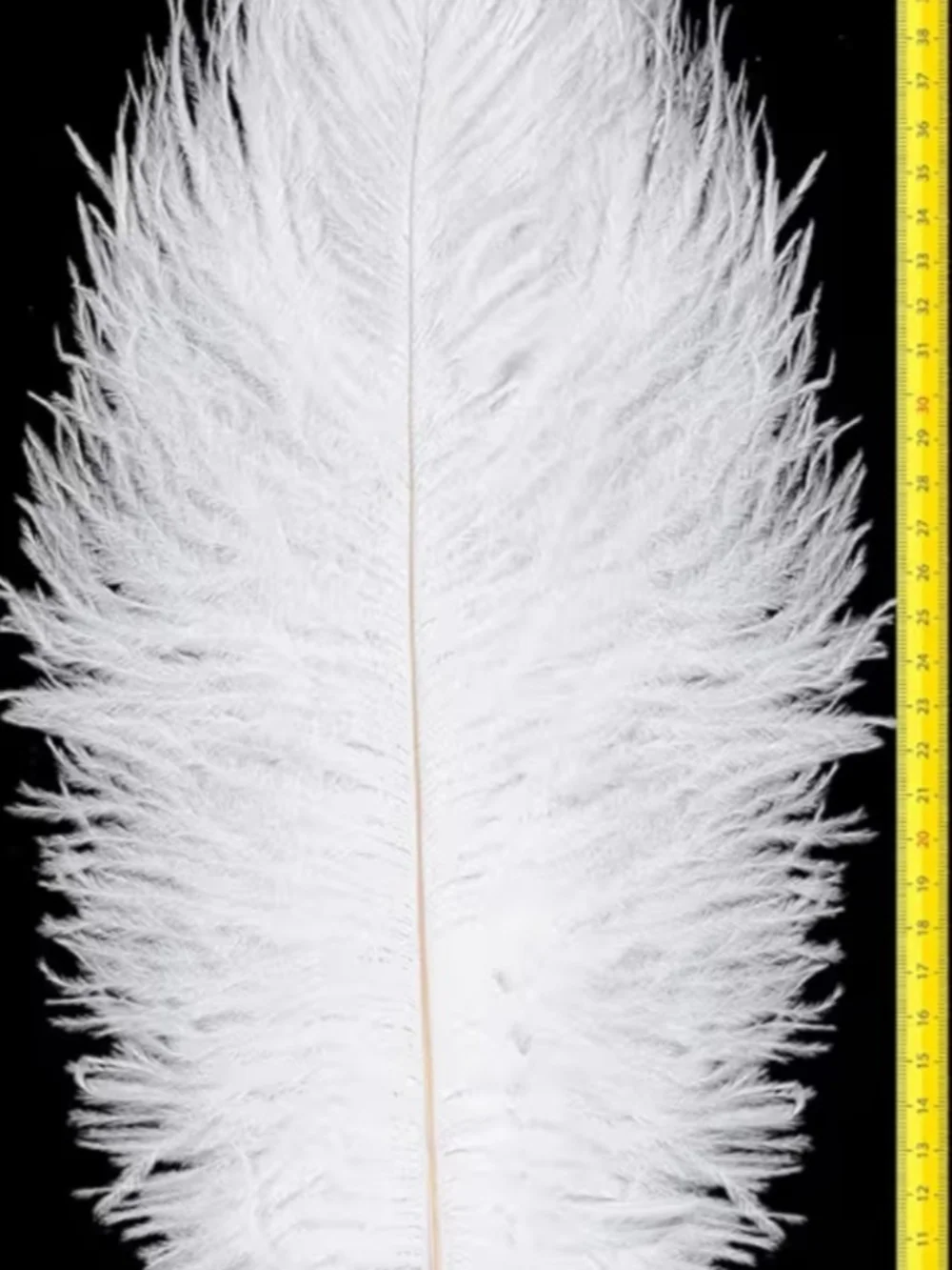 N/A dramatic white
